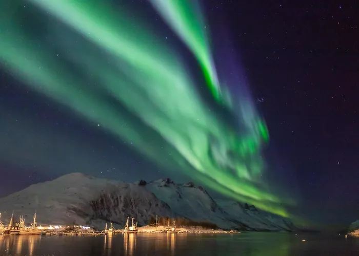 Arctic - Perfectly Located In The Main Street